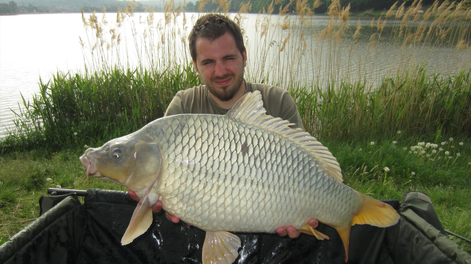 Harsany 1 - 5 mai. - img2687.JPG